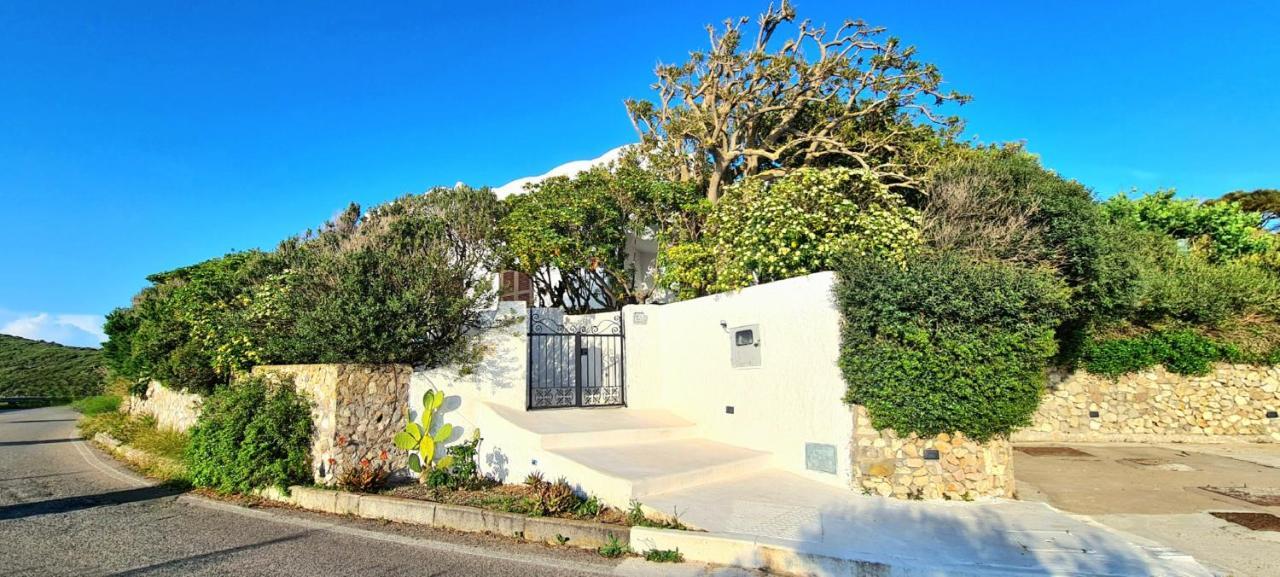 Casa de hóspedes Il Gabbiano Ponza