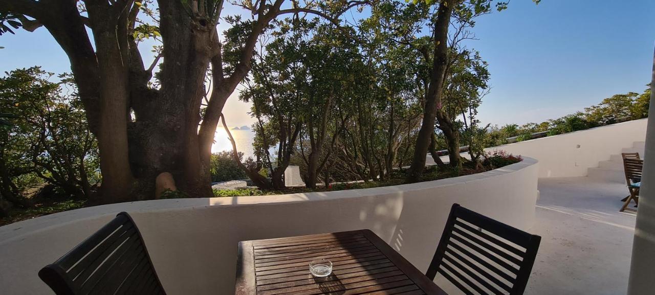 Il Gabbiano Guest house Ponza