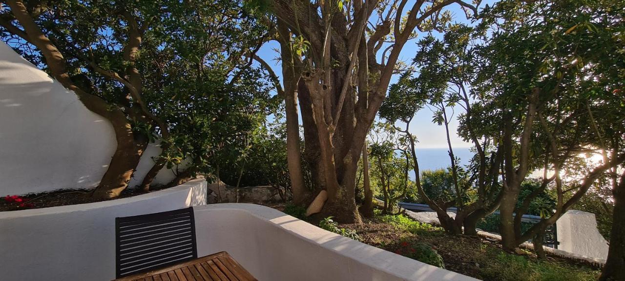 Il Gabbiano Ponza